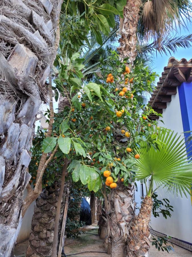 Apartament Dudek Torrevieja Eksteriør bilde
